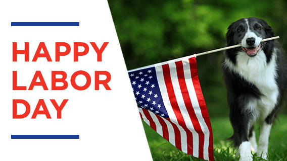 Dog Carrying Flag – Labor Day Design