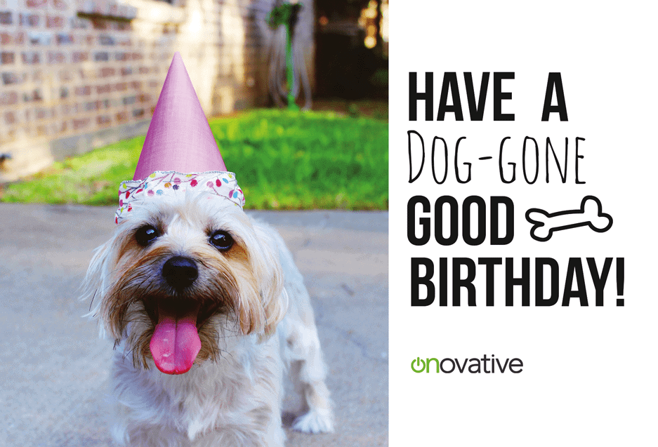 Happy Birthday Postcard - Birthday Dog 2
