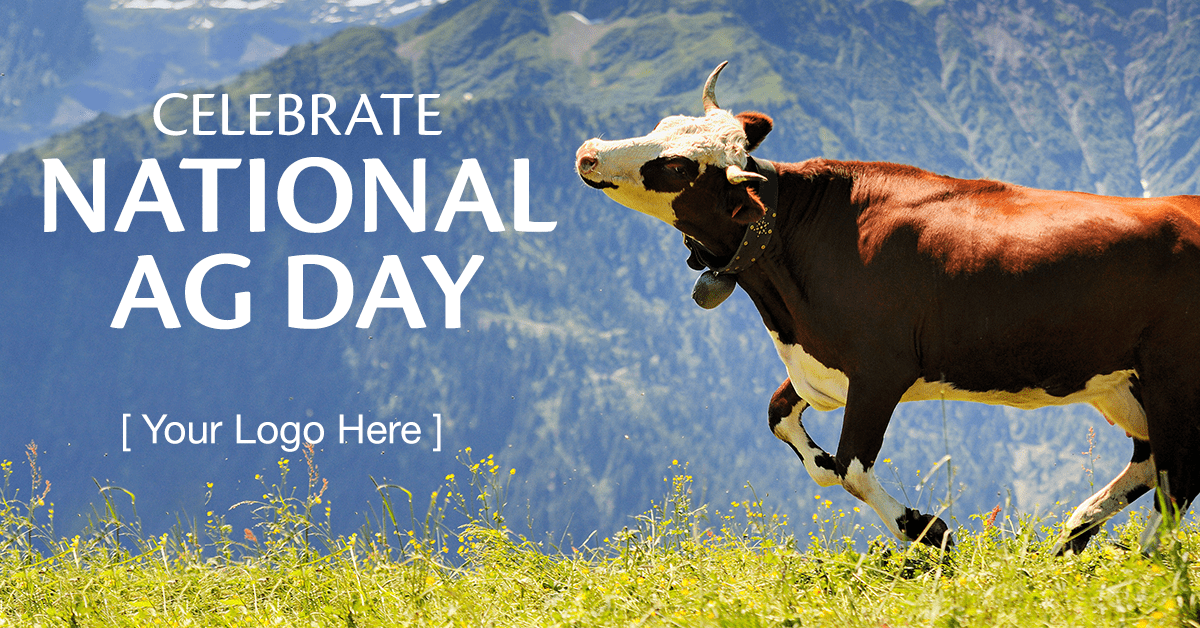 Celebrate National Ag Day - Cow in a field